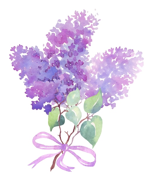 Vector lilac bouquet watercolor vector