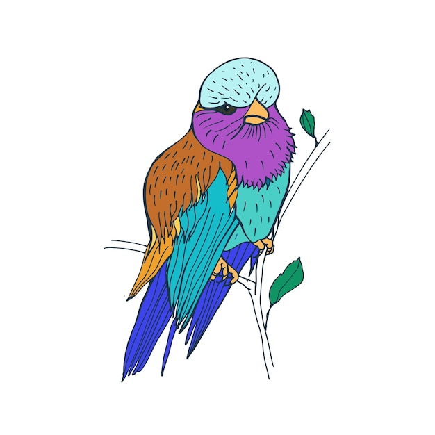 Lilac-breasted roller, tropische vogel met kleurrijke veren. opgeblazen exotisch afrikaans jungle-vorkstaartdier zittend op een tak. realistische tekening. vectorillustratie geïsoleerd op een witte achtergrond