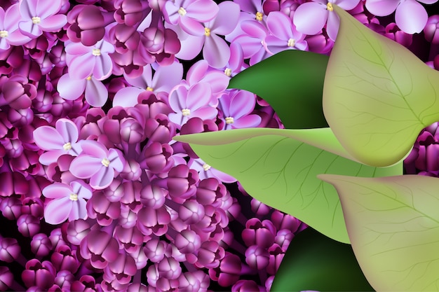 Lilac flower spring floral background