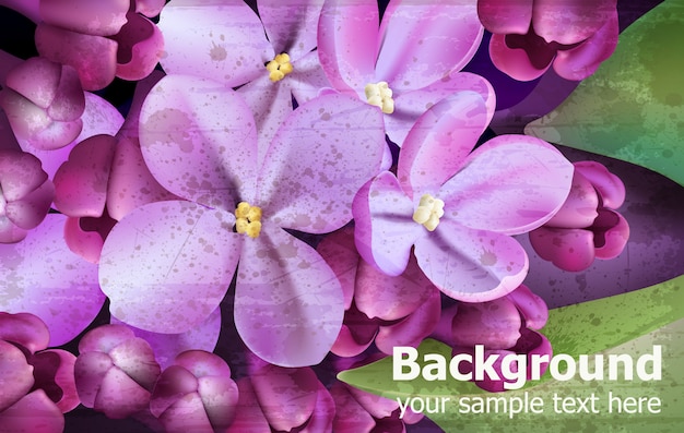 Vector lilac flowers spring floral background