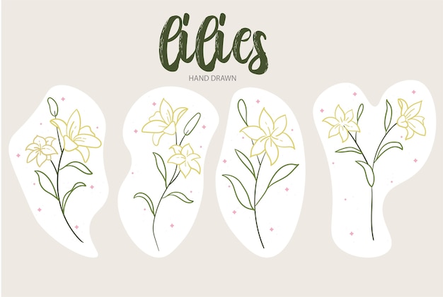 Lilies Hand Drawn Set