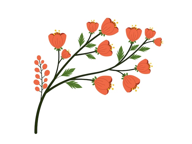 Vector lilies spring blossom flowers illustration