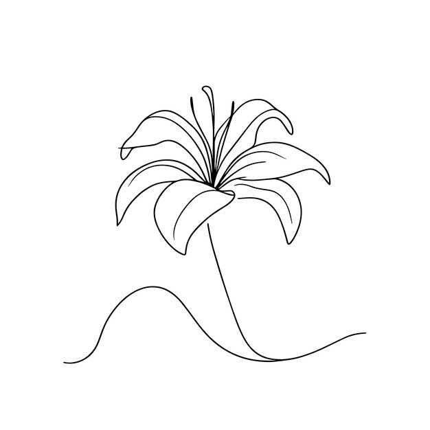 Lilly bloem zwart lineair ontwerp geïsoleerd op witte achtergrond Vector illustratie