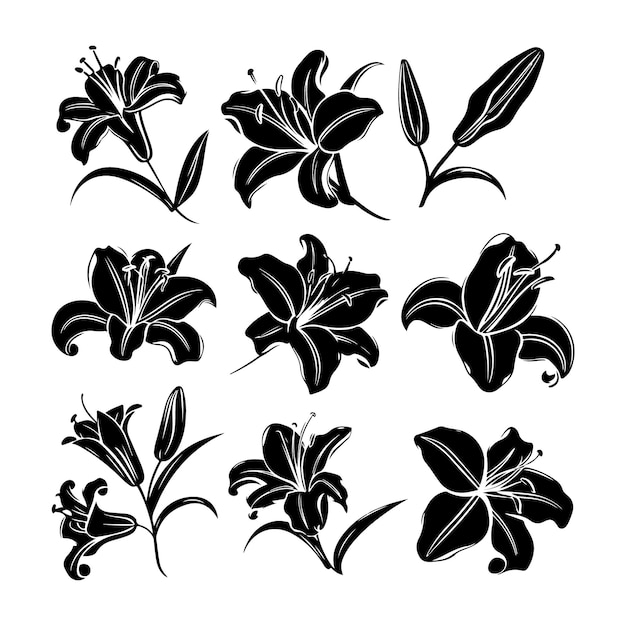 Vector lily bloem zwarte silhouet set