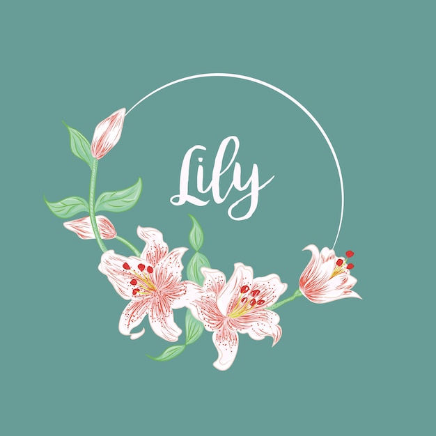 Lily circle template