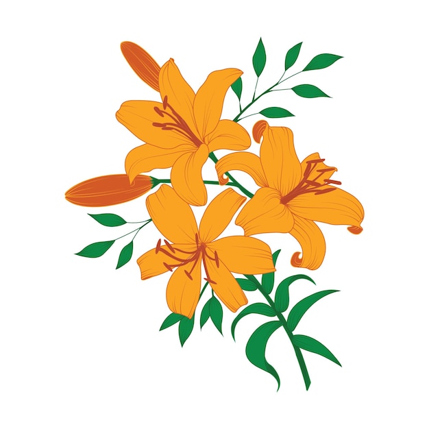 Lily flat vector icon orange and yellow flowers vector flat style cartoon illustration