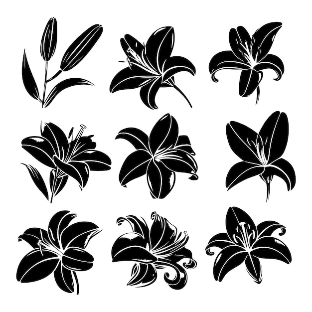 Lily flower black silhouette set