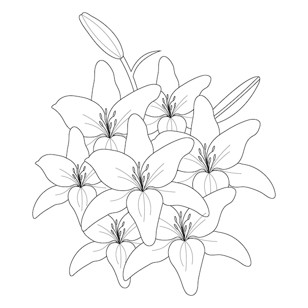 Страница раскраски цветка лилии с штриховым рисунком для детей рисует иллюстрацию