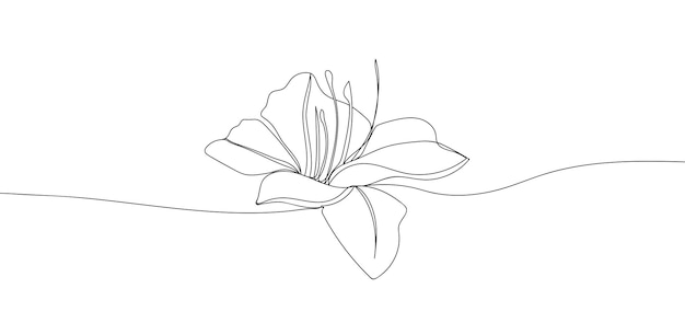 Вектор Цветок лилии в стиле рисования одной непрерывной линии для логотипа или эмблемы. современная векторная иллюстрация