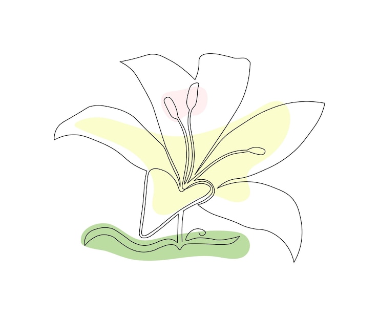 Vector the lily flower single line a monoline cosmetics symbol beauty salon logo