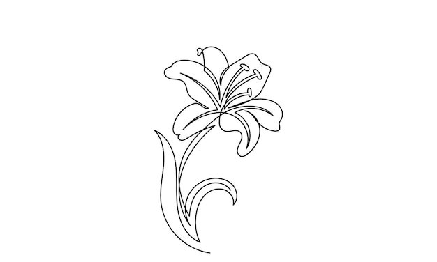 릴리 꽃 터 (Lily Flower Vector) - 릴리 (Lily) 꽃의 연속선 그림 (Line Art) 릴리꽃이 색으로 분리되어 있다.
