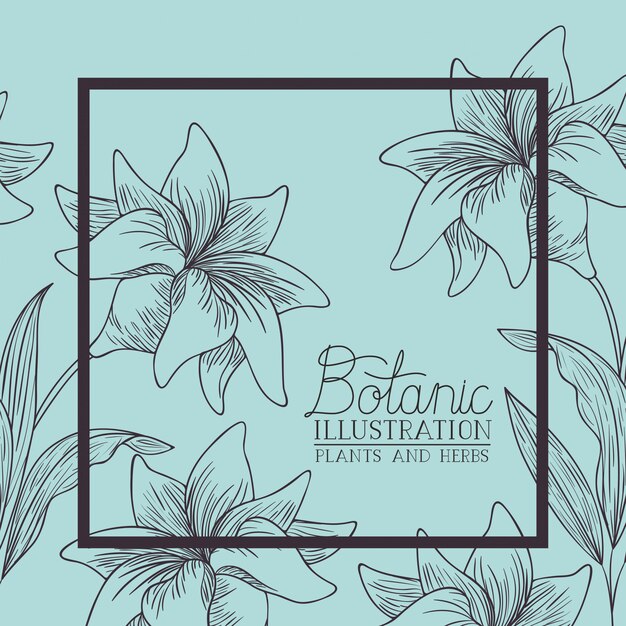 lily flowers decorative square frame