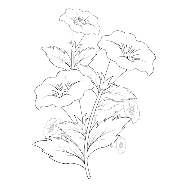 Vettore fiori di giglio disegno con disegno grafico di illustrazioni vettoriali line-art