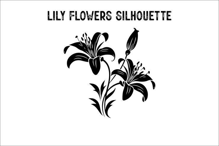 Vector lily flowers silhouette vector isolated on a white background lily flowers silhouette