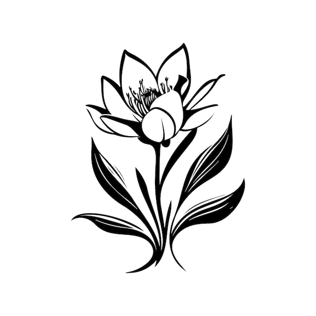 Vector lily icon hand draw black flower logo vector element and symbol