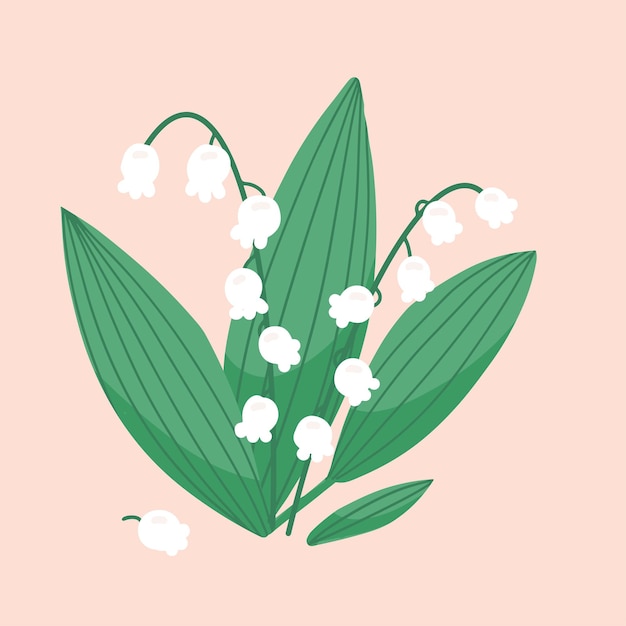 Vector lily of the valley flower on pastel beige background white spring flower flat hand drawn cartoon vec