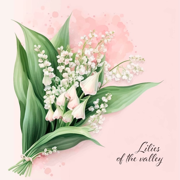 Lily of the valley watercolor illustration