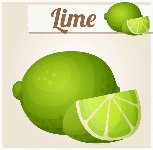 Vector lime. detailed vector icon