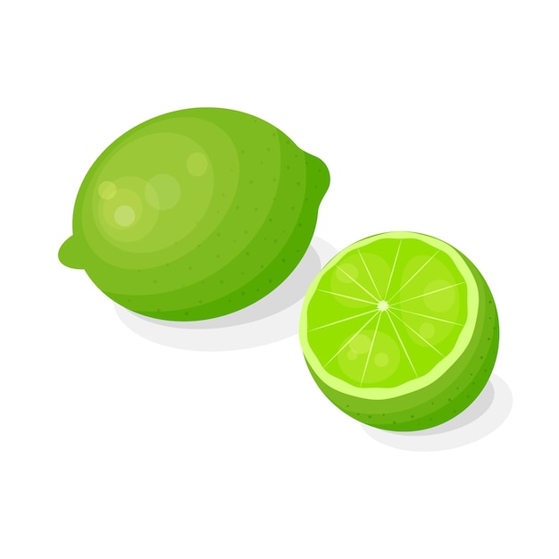 Lime fruit in cartoon style