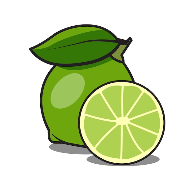 Premium Vector  Lime line icon in vector citrus fruit illustration