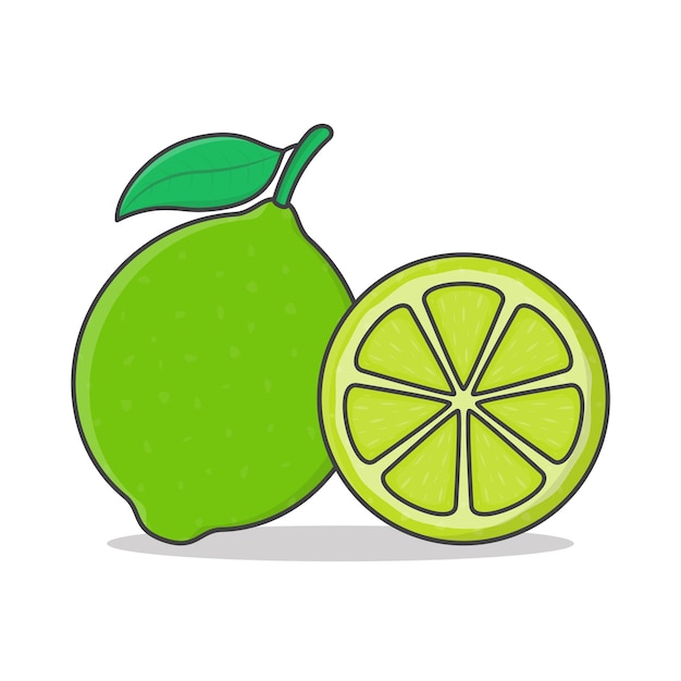 Vector lime fruit and slice flat