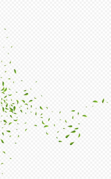 Vettore verde lime sfondo trasparente vettore fresco