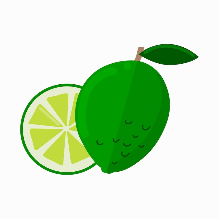 Vector lime icon clipart isolated vector illustration
