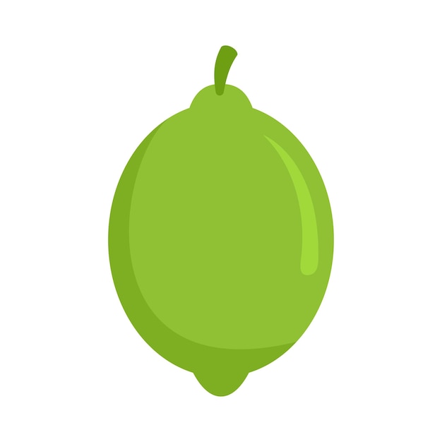 Vector lime icon flat illustration of lime vector icon isolated on white background