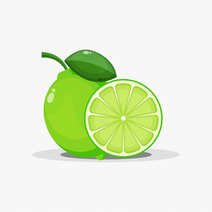 Vector lime and lime slices