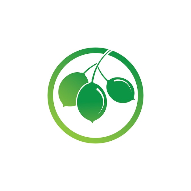 lime logo vector Icon Design stock illustration