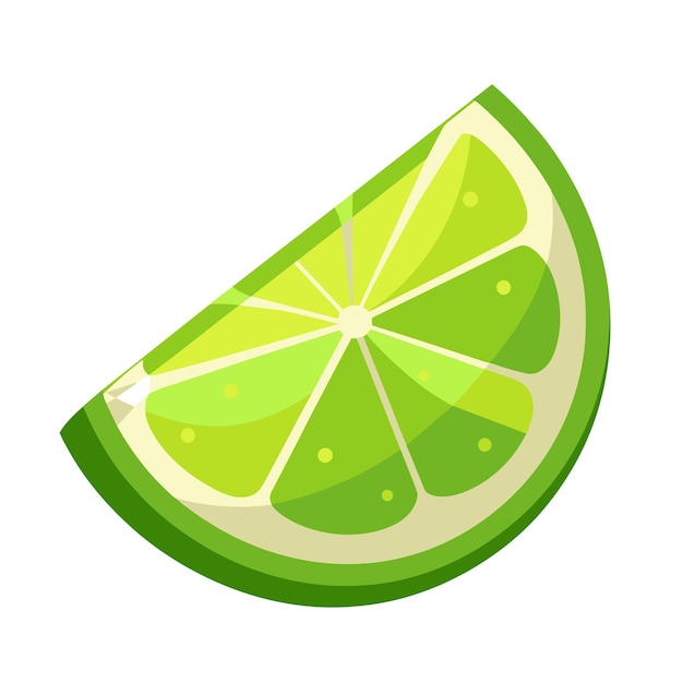 Vector lime slice green illustration lemon isolated half fruit lime