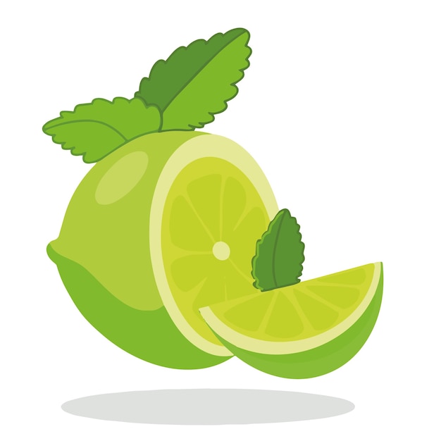 Lime summer illustration