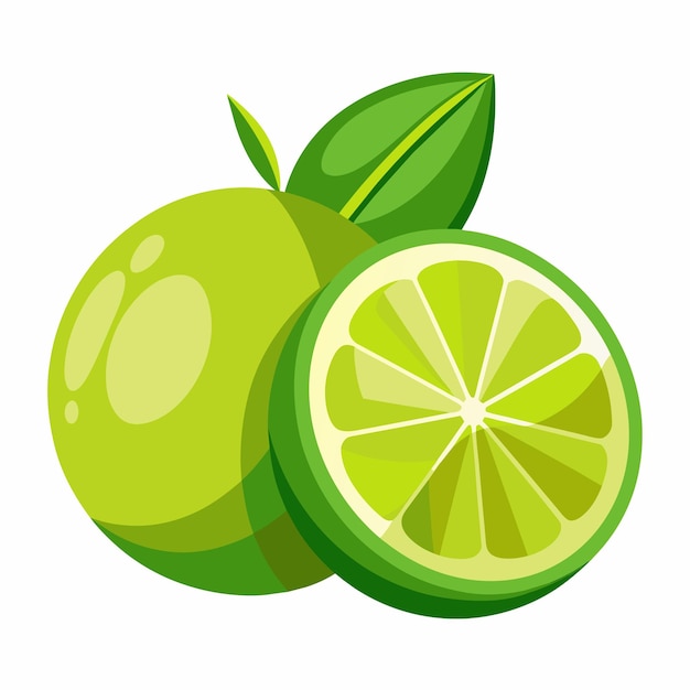 Lime vector art illustration 11