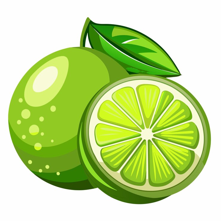Vector lime vector art illustration 15