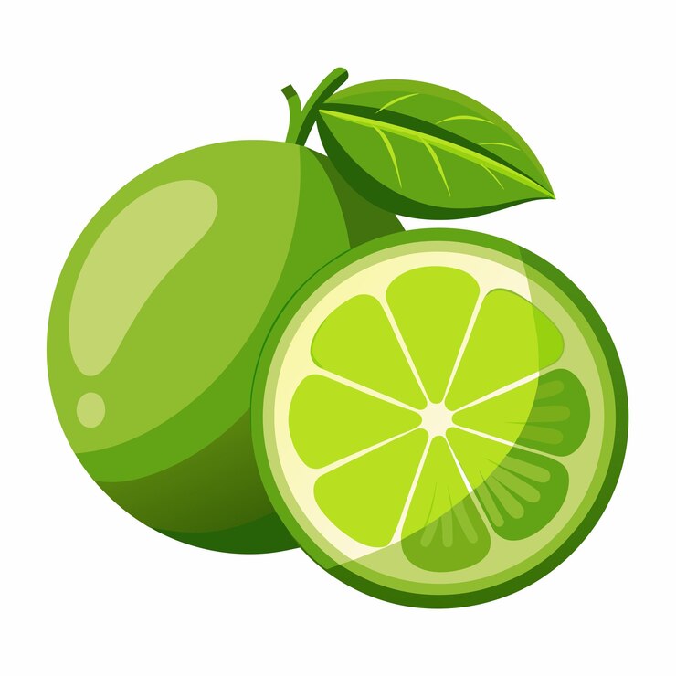 Vector lime vector art illustration 3