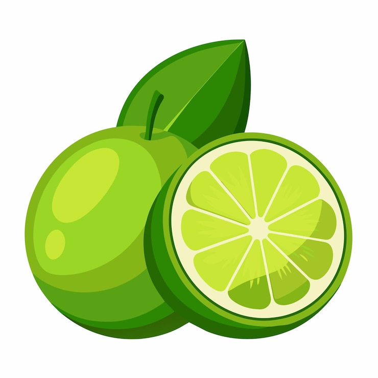 Vector lime vector art illustration 6