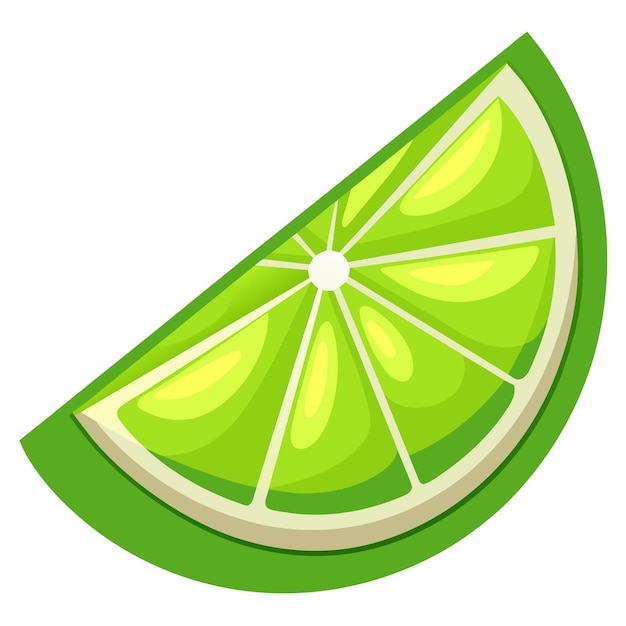 Lime wedge vector on isolated background