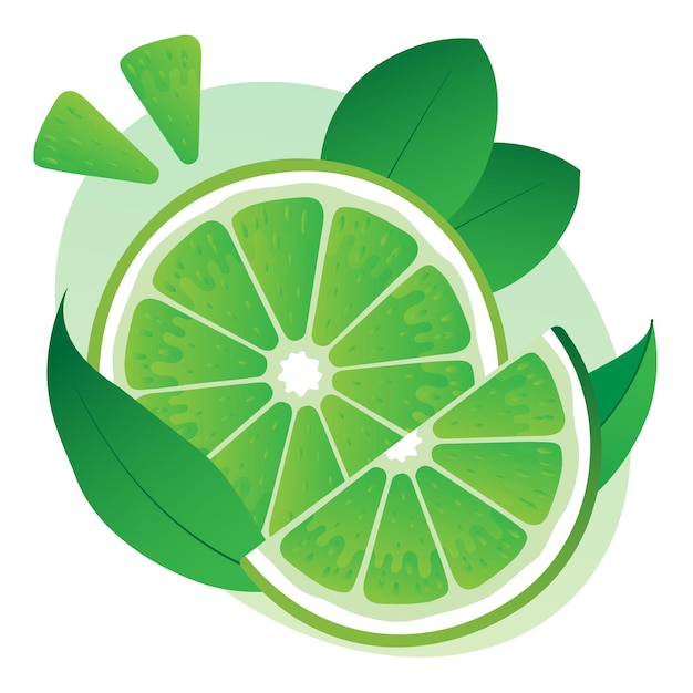 Lime with leaves vector fruit