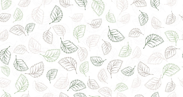 Linden birch or basil leaves outline vector seamless pattern gr