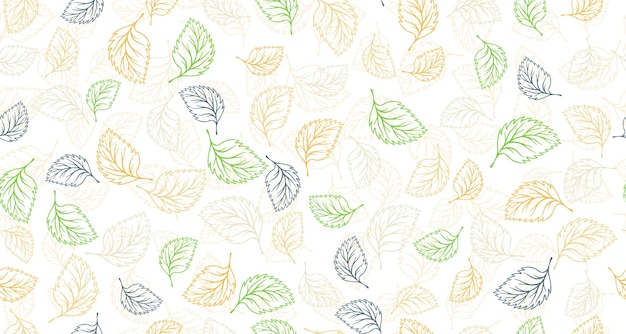 Linden birch or basil leaves outline vector seamless pattern gr