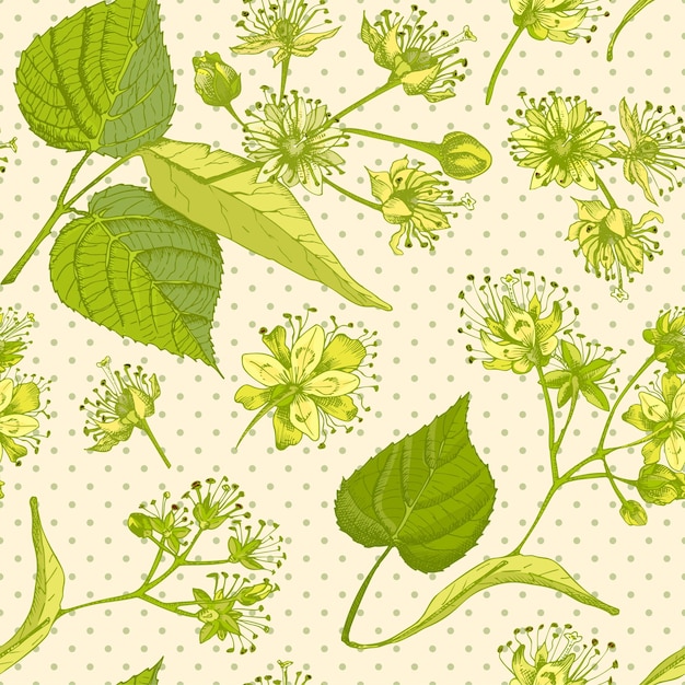 Modello senza cuciture disegnato a mano di fiori di tiglio con vite di fiori e ramo nei colori giallo e verde su sfondo beige chiaro design grafico vintage retrò disegno di schizzo botanico