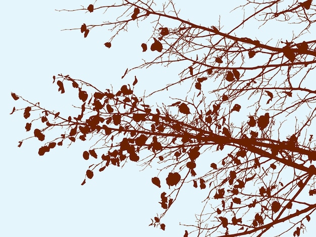 linden branches in the autumn