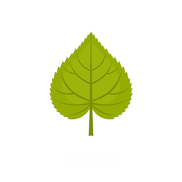 Linden leaf icon Flat illustration of linden leaf vector icon isolated on white background