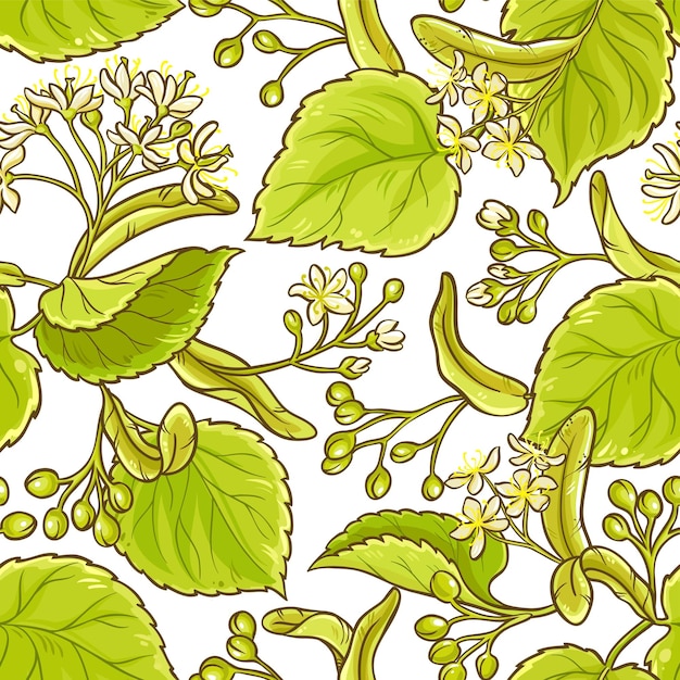 Linden vector pattern