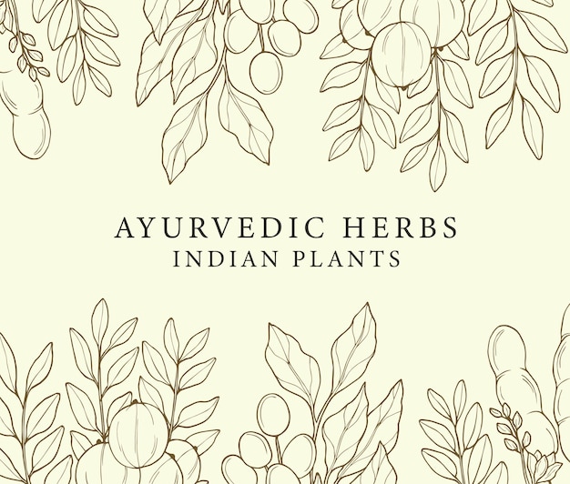 Line art ayurvedic plants background