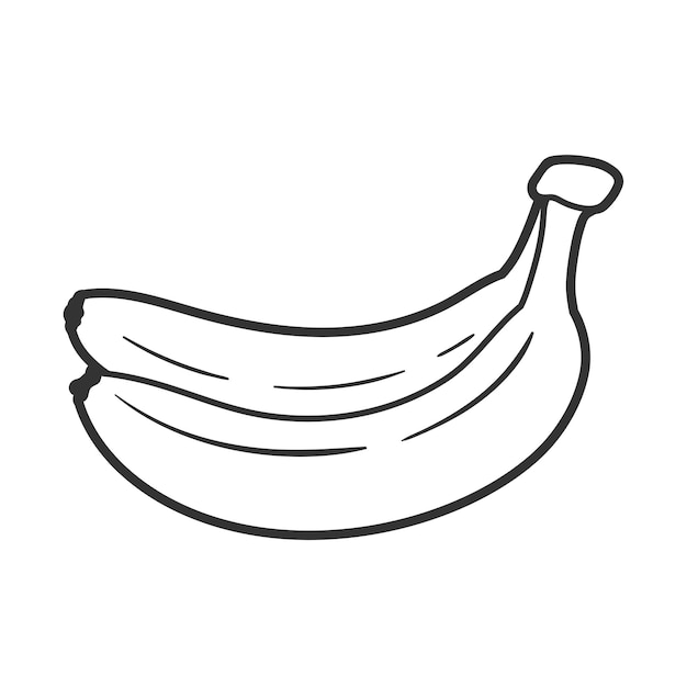 Vector line art of banana isolated on white background