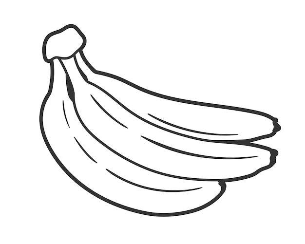 Vector line art of banana isolated on white background