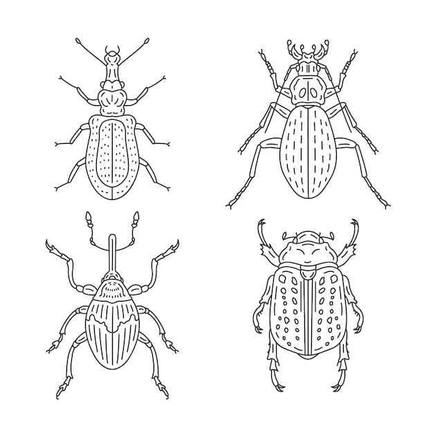 Line art beetle collection