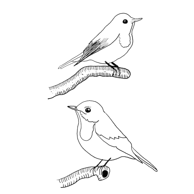 Line art of bird figure