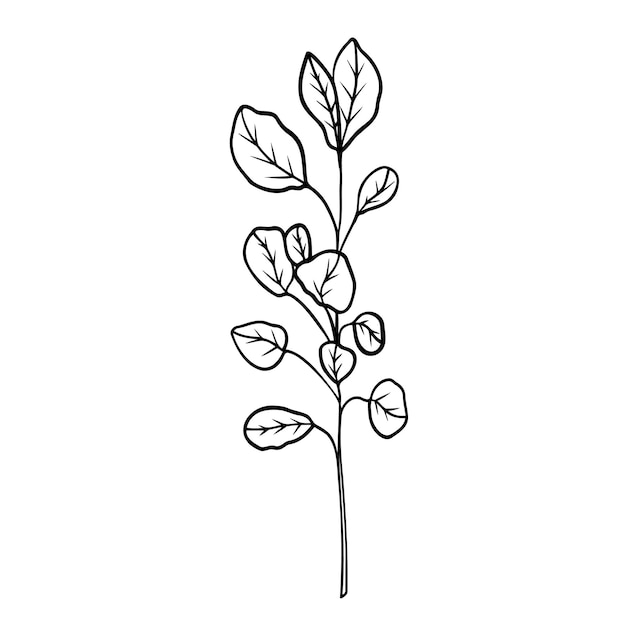 Line art clipart of branch doodle